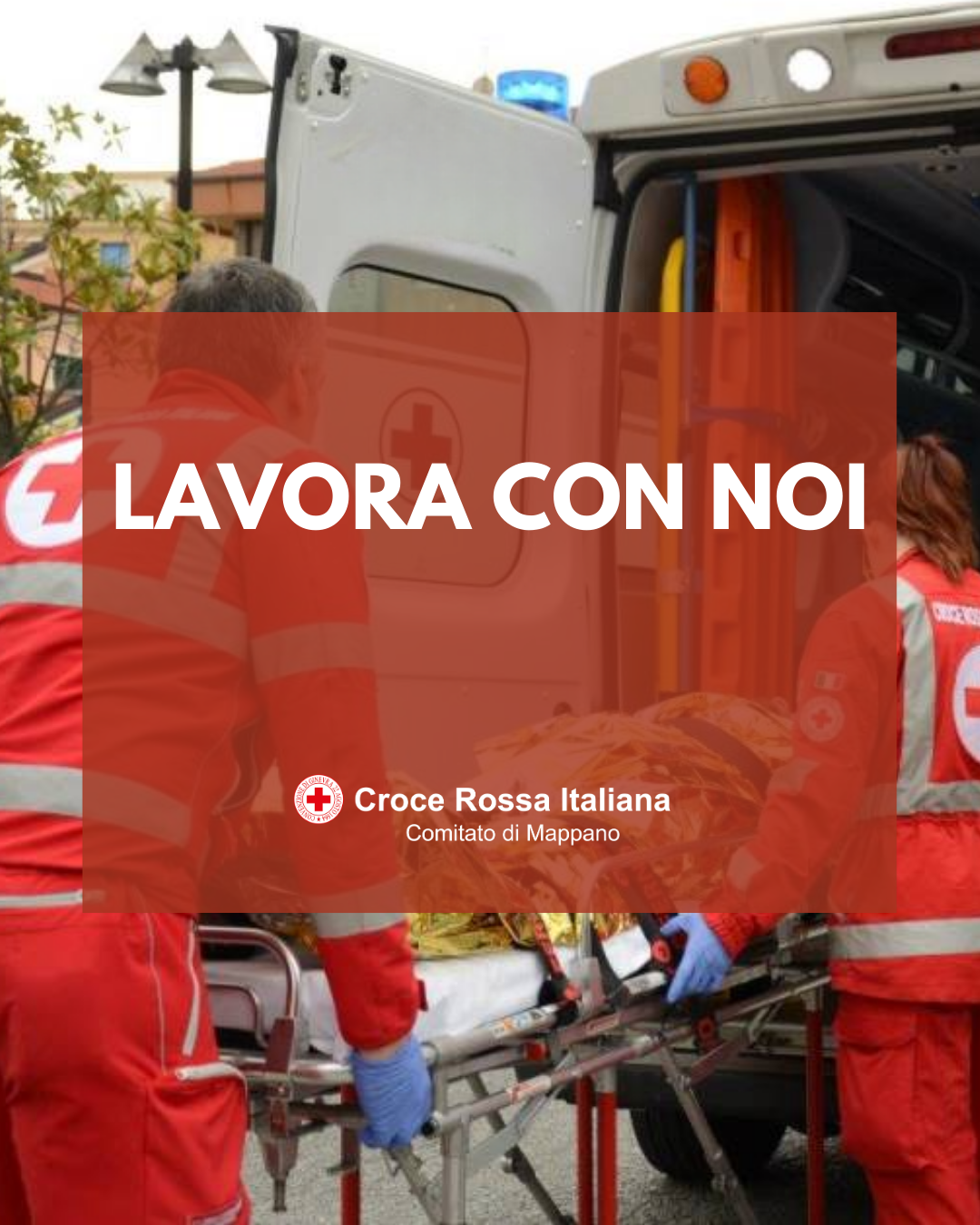 lavora con noi
